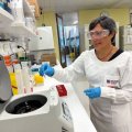 Professor Ranjeny Thomas AM wearing white coat working in her lab. Image, UQ